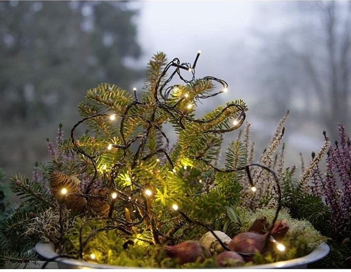 Image du produit Star Trading Micro (18 m)