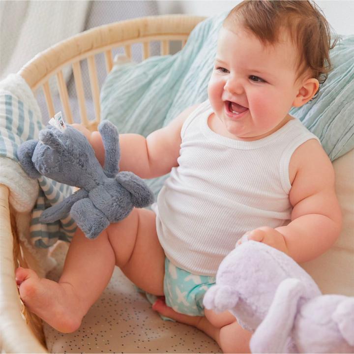 Actual product image Rascal+Friends Premium (Size 3, Monthly box, 182 pcs.)