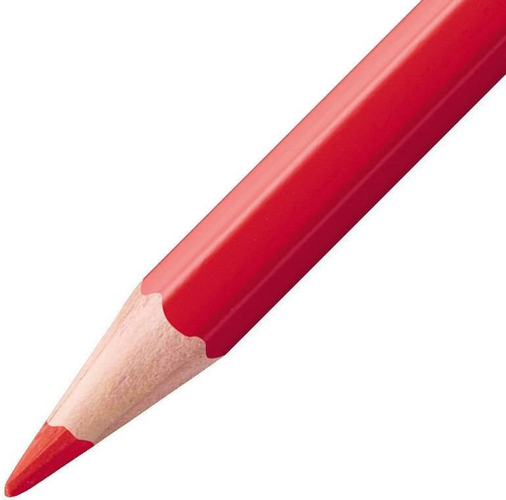 Actual product image STABILO aquacolor watercolour crayon (12 x)