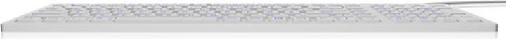Actual product image KeySonic Industrial keyboard, USB, illuminated, silicone, white, water and dust protected IP68, DE (DE, Cable)