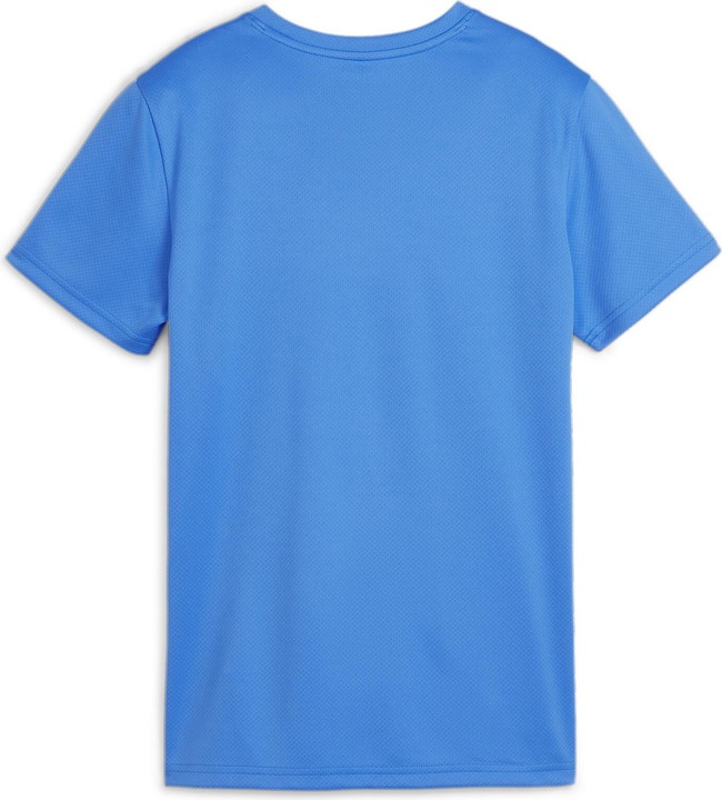 Immagine prodotto Puma Maglia TeamGOAL Uomo (L)