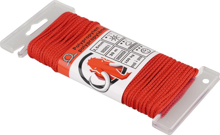 Image du produit Mamutec Corde en polypropylène 2.5 mm 30 m (30 m)
