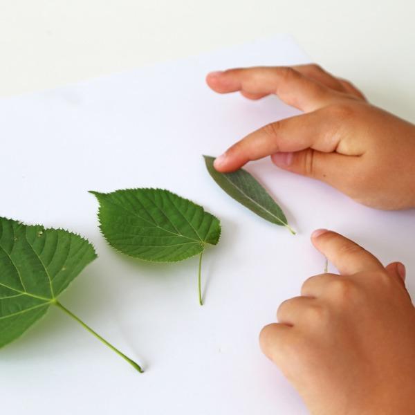 Produktbild Primo Wachsmalstifte Schulbox 30-teilig (30x)