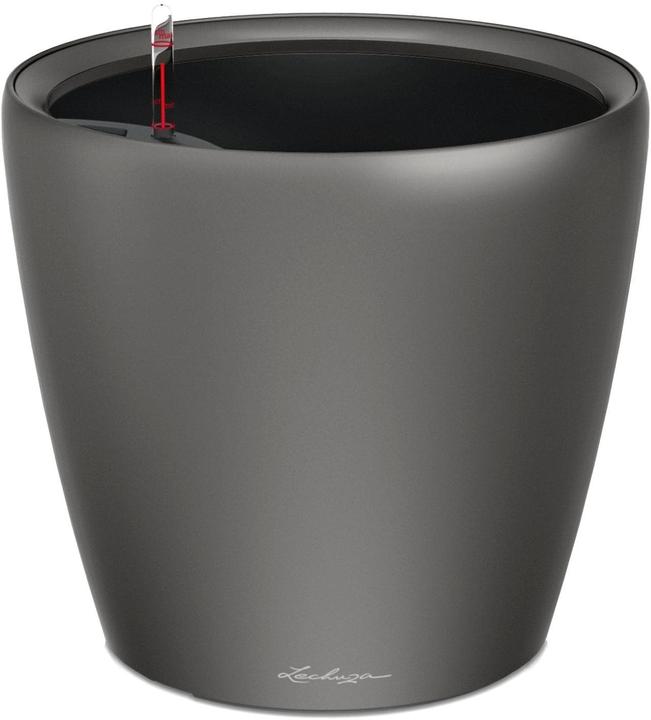 Image du produit Lechuza Classico (22 x 20 cm)