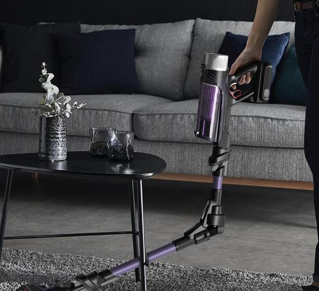 Actual product image Tefal Handheld wireless, X-Force Flex 9.60 Allergy