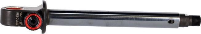 RockShox Schacht (75 mm)