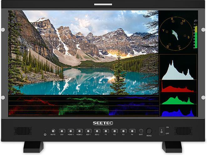 Produktbild Feelworld SEETEC P215 Pro Broadcast Monitor (21.50", Full HD)
