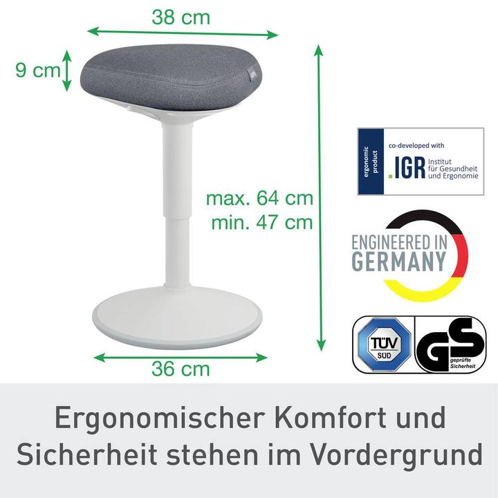 Actual product image Leitz Ergo Active