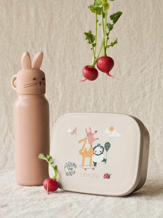 Actual product image Liewood Kinder Lunchbox Arthur Around the Worl Sandy