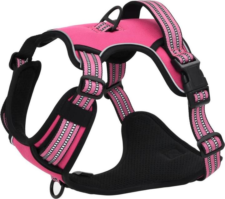 Actual product image vidaXL Hundegeschirr (L, Dog, General)