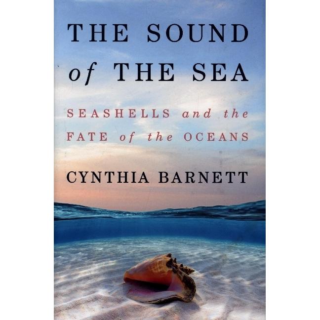 Barnett:The Sound of the Sea - Seashell, Sachbücher von Cynthia Barnett