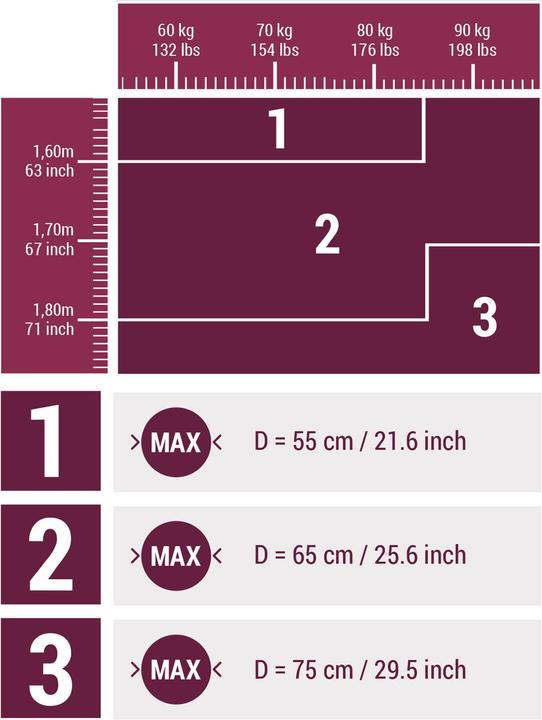 Image du produit Domyos Basic (65 cm)