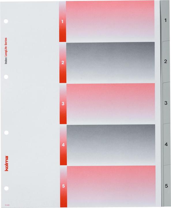 Immagine prodotto Kolma Index A4 XL superstrong 1-5 5 pezzi grigio
