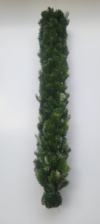 Fresca-Plant Bio Nordmann-Girlande 100 cm