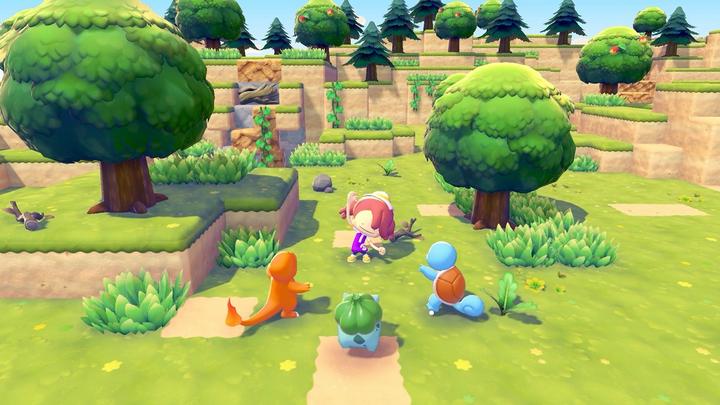 Actual product image Nintendo Pokémon Pokopia (Switch 2, EN)