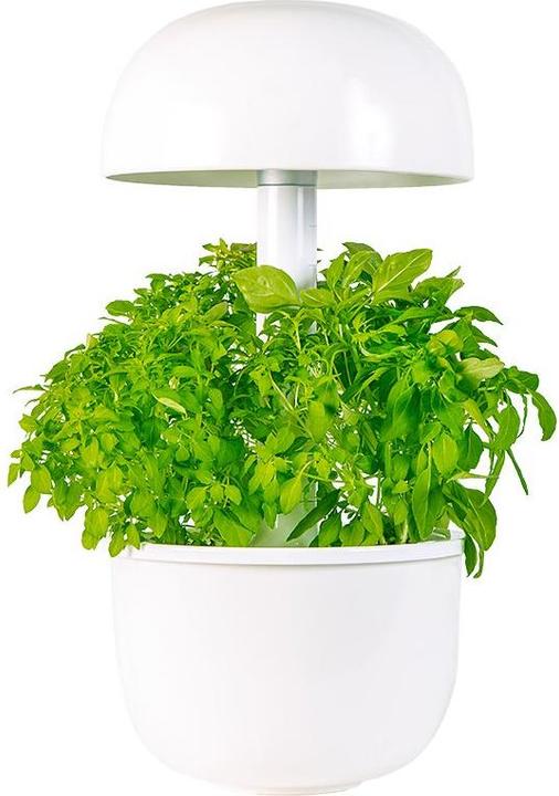 Produktbild Plantui Smart Garden 3e (Keimlinge)