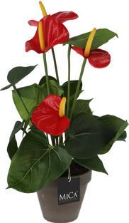 Immagine prodotto edelman Anthurium artificiale rosso in vaso (40 cm)
