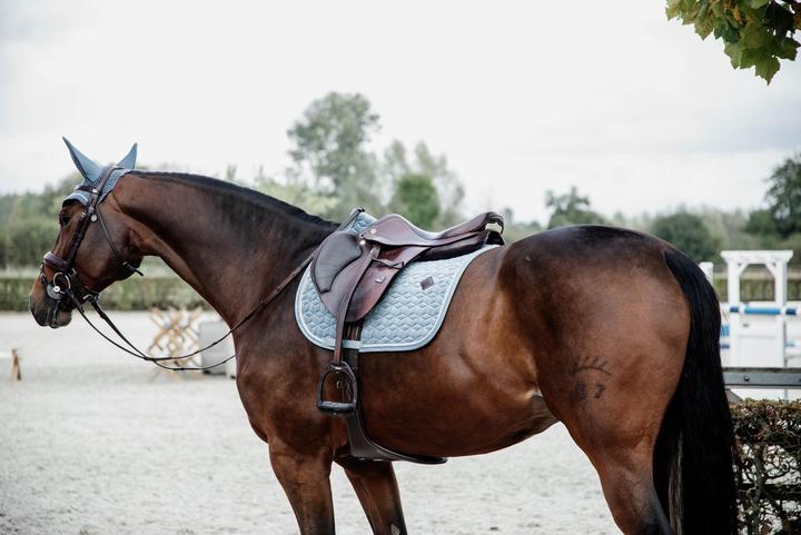 Actual product image Kentucky Horsewear Saddle pad for horses