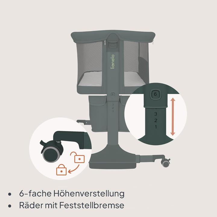 Image du produit Lionelo Jodie