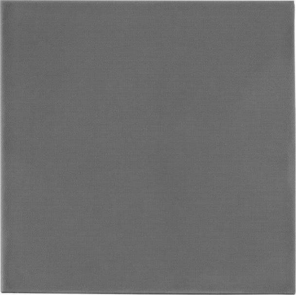 Thermal Grizzly TG Minus Pad Extreme V2 - 100x 100x 1,5 mm (1.50 mm, 12 W/m K)