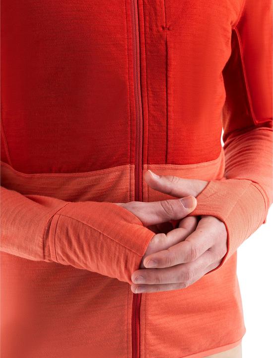 Image du produit Icebreaker Sweat à capuche zippé Mérino 200 Realfleece Descender L/S (L)