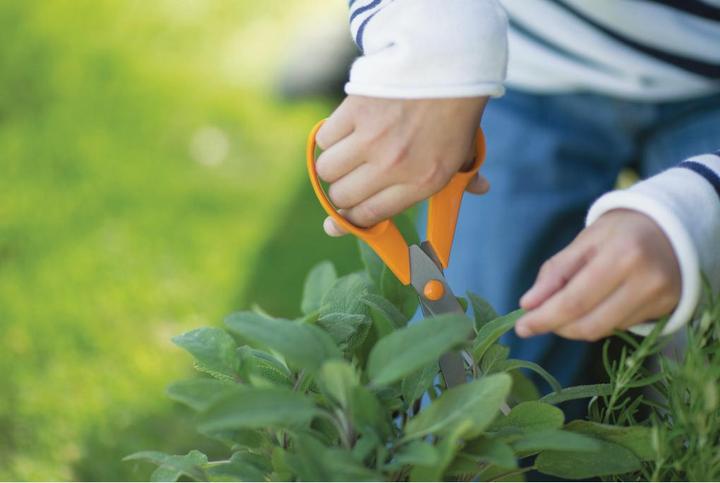 Image du produit Fiskars CREA 1075033 (21 cm)