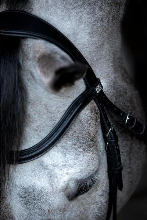 Image du produit Horse Guard Emi 24.2