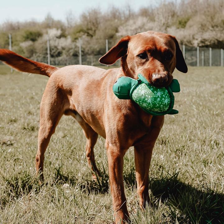 Actual product image Hunter Toy Flingerz Splash Turtle - (401673969524) (Retrieval, Dog chew toy)