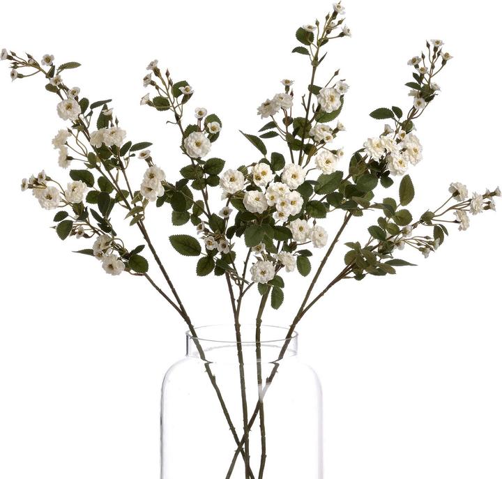white/green