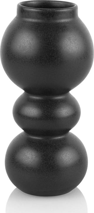 Image du produit ASA Selection fer noir (1x)