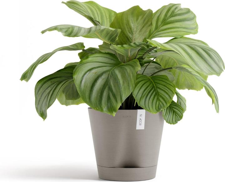 Produktbild Ecopots Venice 2 (30 x 27.50 cm)