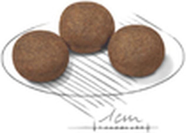 Produktbild Royal Canin Medium Junior (Junior, 1 Stk., 15000 g)