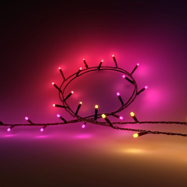 Image du produit Philips Hue Festavia (prise UE) (20 m)