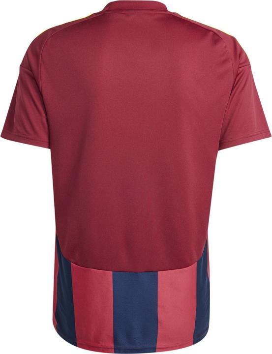 Produktbild adidas Striped 24 Trikot (M)