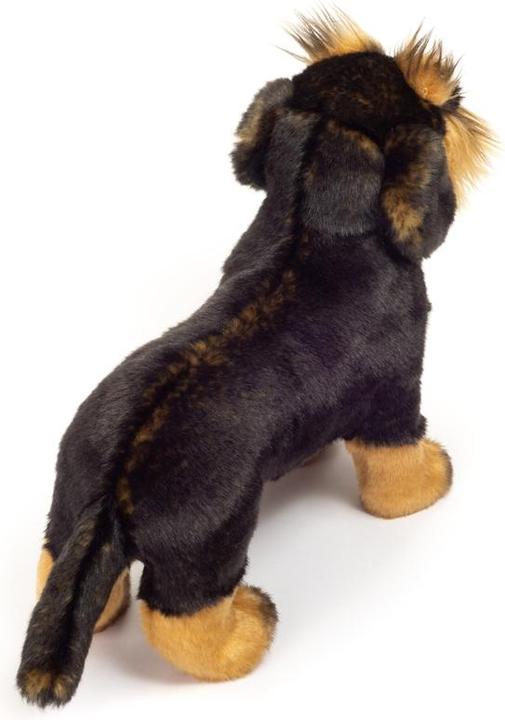 Produktbild Teddy Hermann Rauhaardackel (20 cm)