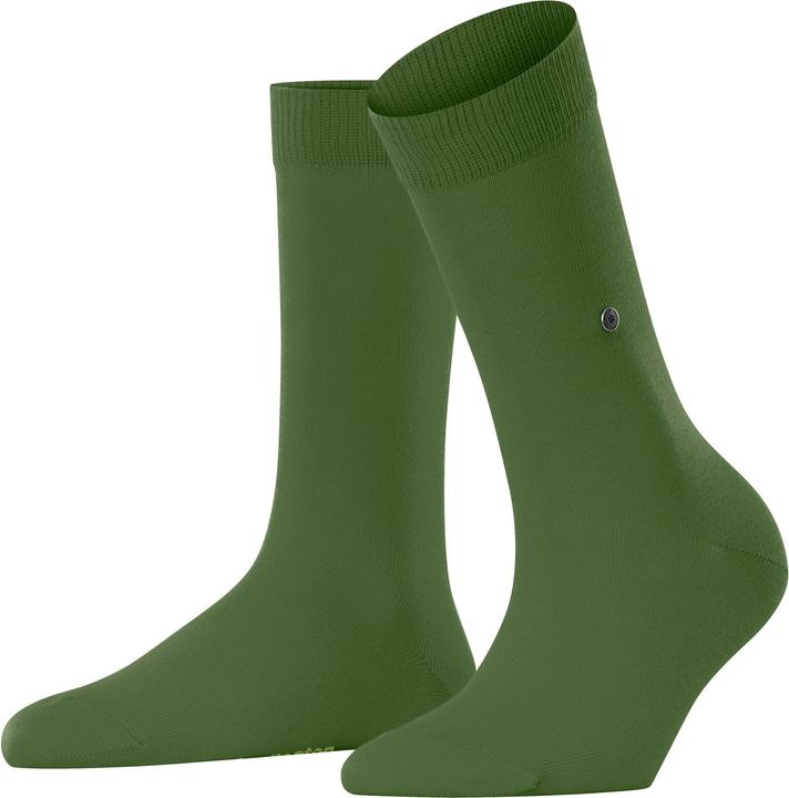fir green