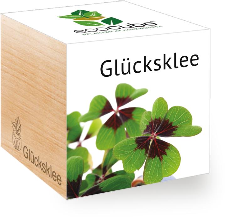 Image du produit Feel Green Ecocube (Graines de plantes)