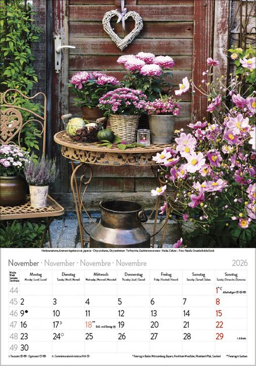 Produktbild Bltenzauber 2026