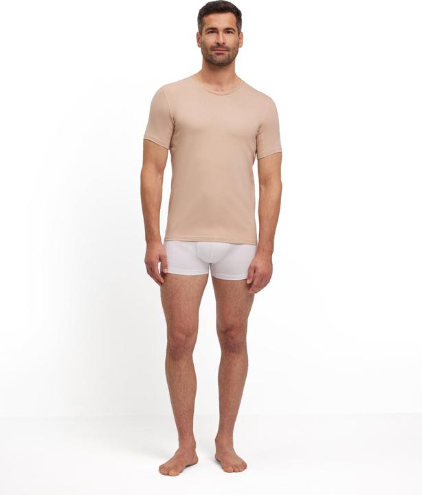 Image du produit Falke Herren (M)