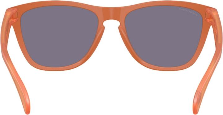 Produktbild Oakley Frogskins