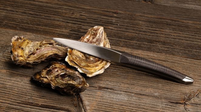 Image du produit Sknife Couteau de table en frêne (1 pièce(s), Couteau)