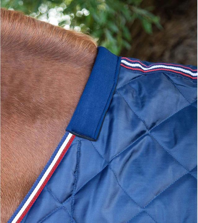 Produktbild Premier Equine 100g (221 cm)