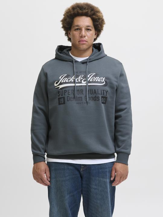 Actual product image Jack & Jones JJELOGO SWEAT HOOD 2 COL 24/25 NOOS PLS (4XL)