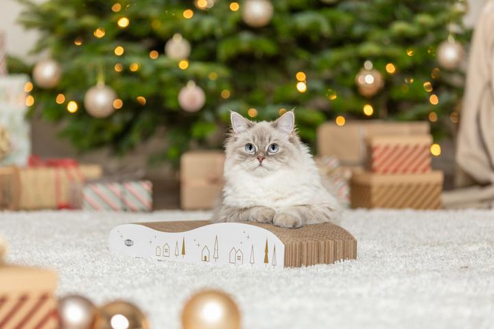 Immagine prodotto Trixie Xmas Kratzpappe Weiss/Gold (8 cm, Bianco/oro)