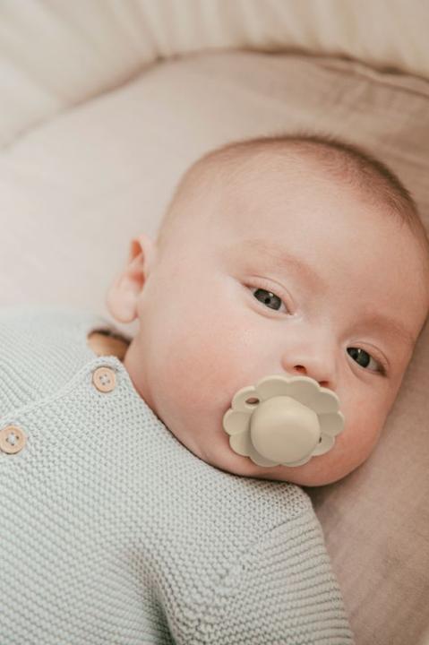 Actual product image Suavinex Reversible soother SX Pro Wunder 0-6M umbra (1 x, up to 6 M.)