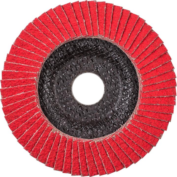 Produktbild Pferd Fächerschleifscheibe (50)