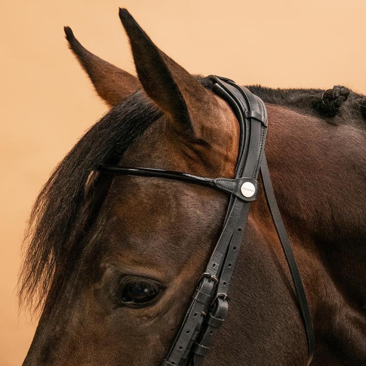 Immagine prodotto Fouganza Curb Bit Anatomico Cavallo/Pony