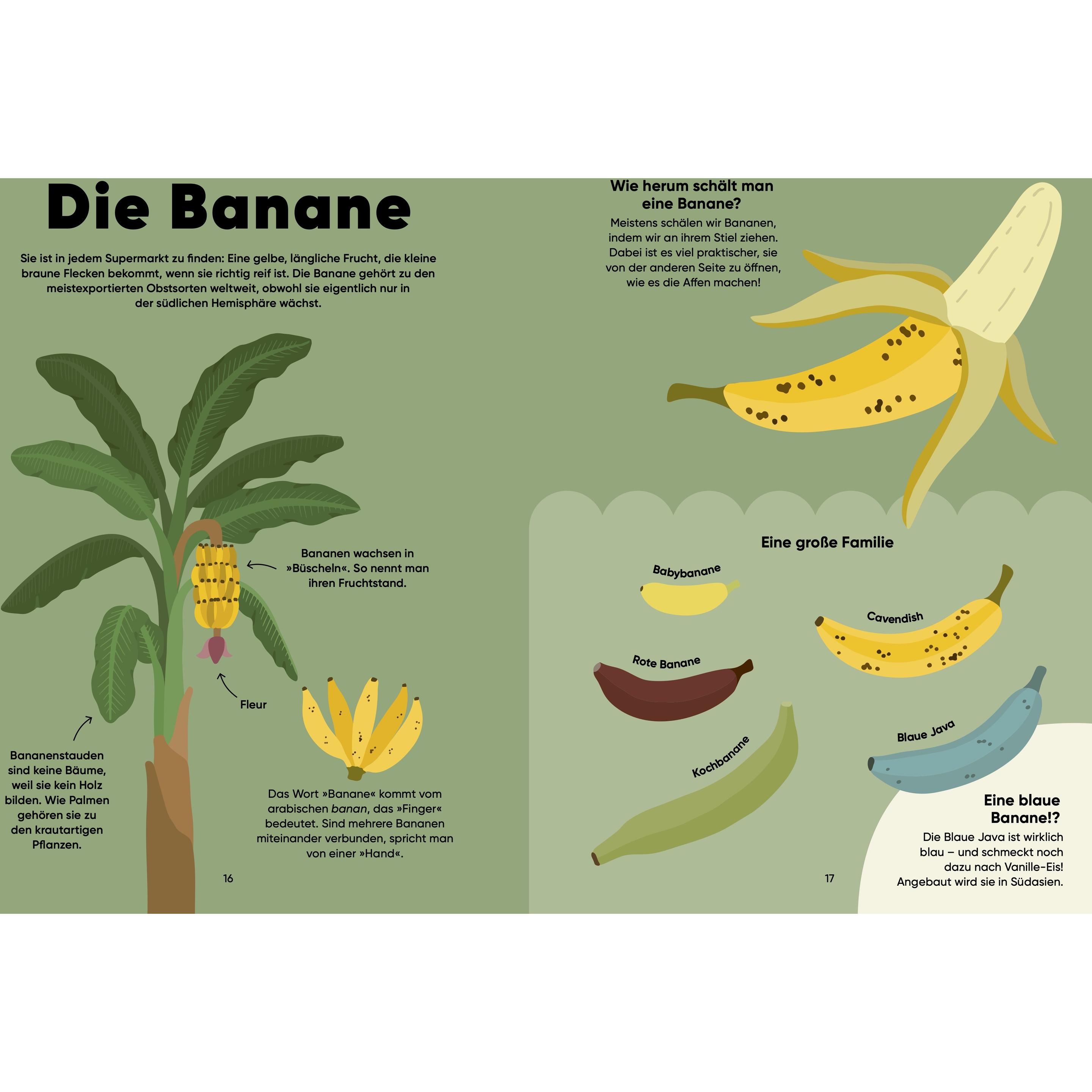 Thumbnail - Natur auf dem Teller, Kinderbücher von Silv Bannenberg, Lisa Voisard