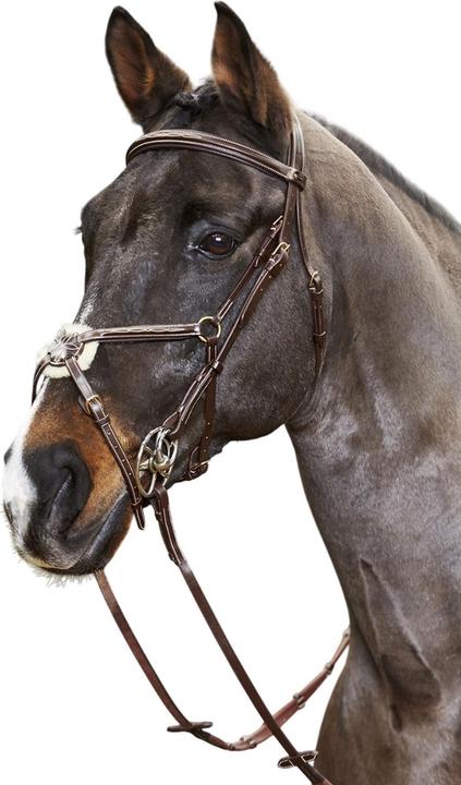 Image du produit - Martingale pour chevaux VALENCIA