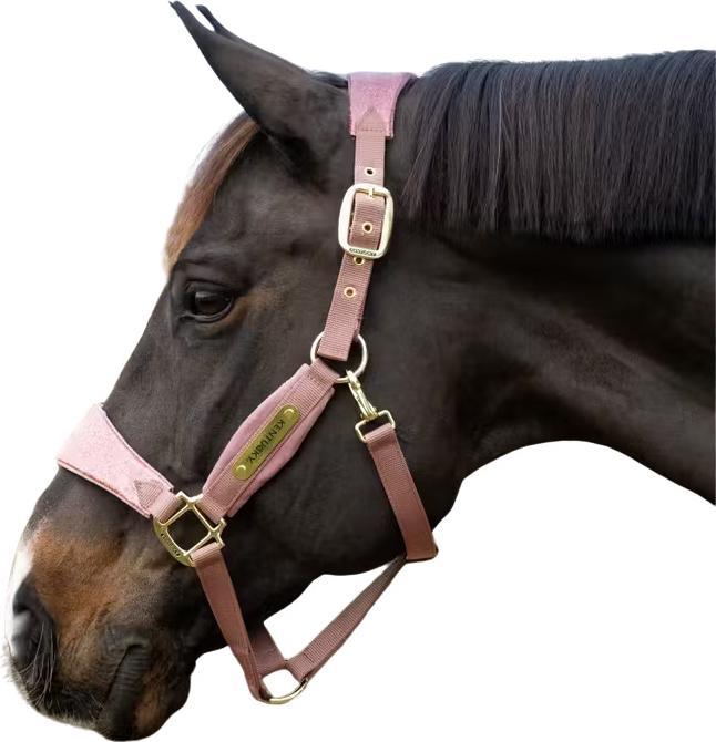 Actual product image Kentucky Horsewear Velvet Unicorn Glitter